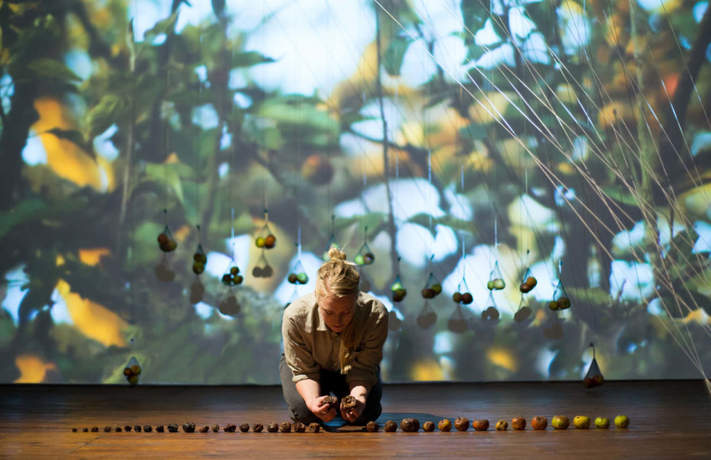 A young, white woman with blonde hair tied up in a bun and dressed in a beige shirt and trousers kneels down on a wooden floor. In front of her lie a row of apples in variously progressed states of decomposition from a small black, shrivelled, rotted apple on the leftmost end to a fresh, green apple on the rightmost end. She is holding a rotting apple from the middle of the row in each hand and leaning down to look at them. In the background there is a projection of apple tree branches. In front of the projection are a row of net bags filled with three apples, suspended from the ceiling by brown string hung at various levels.