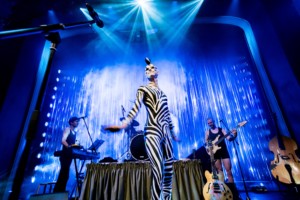 A young white man dressed as a fabulous zebra is captured mid-twirl in the spotlight on stage against a blue shimmery backdrop. He is smiling and wearing a black and white zebra print bodysuit, zebra face paint, and a black and white mohawk. A band play keys, drums, and bass guitar behind him.